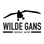 12479078_198187543900450_1406089605_a